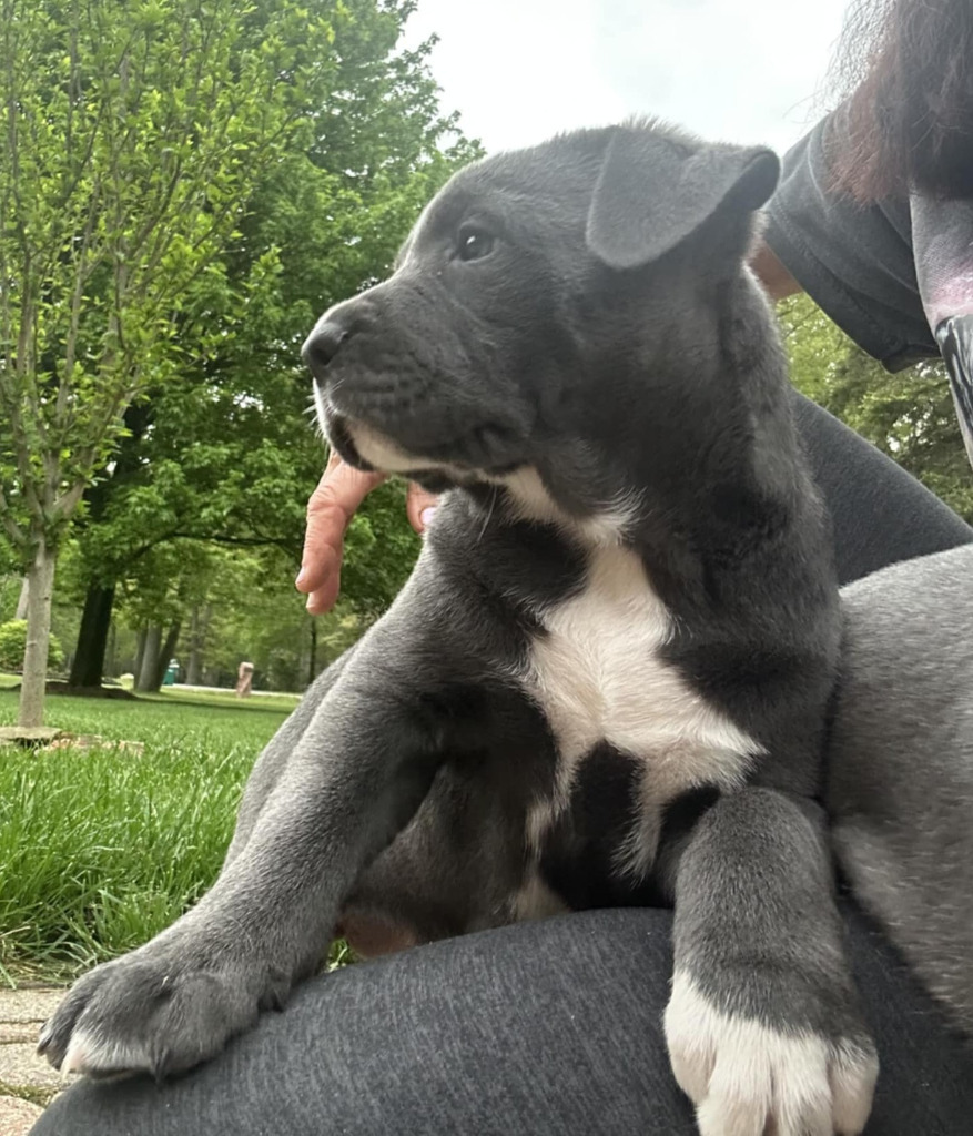 Bonnie