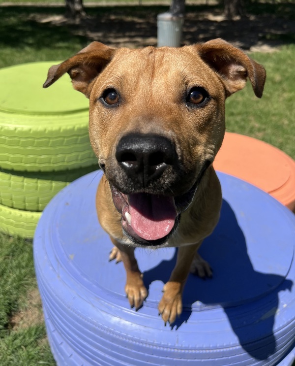 Ernie