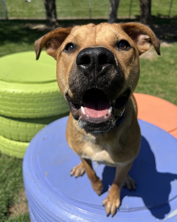 Ernie