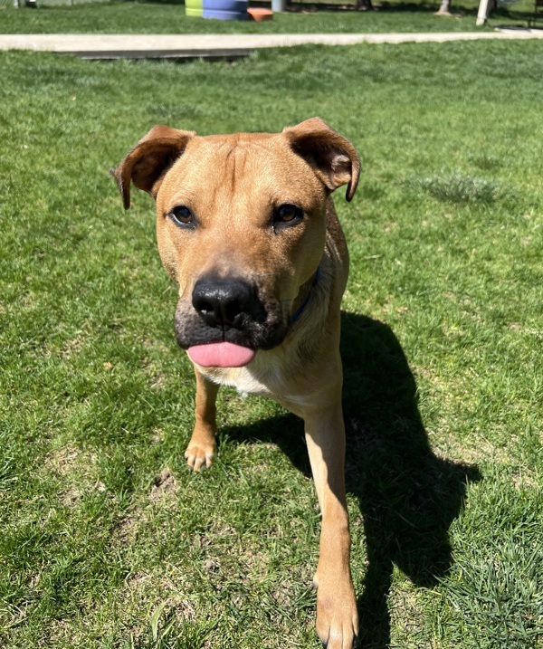 Ernie
