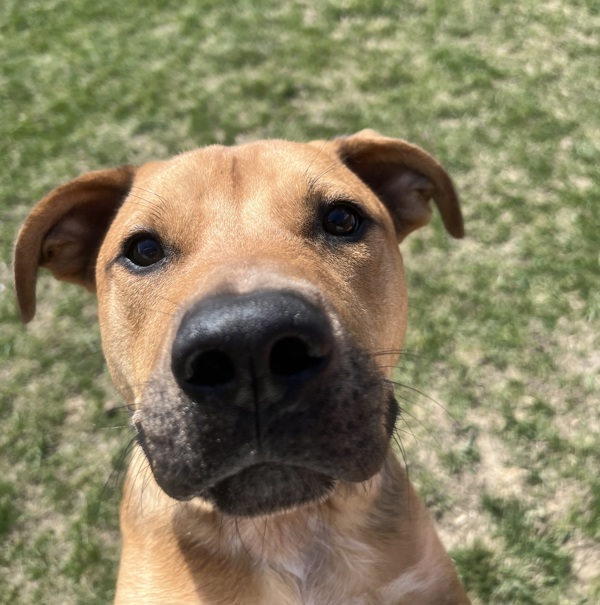 Ernie