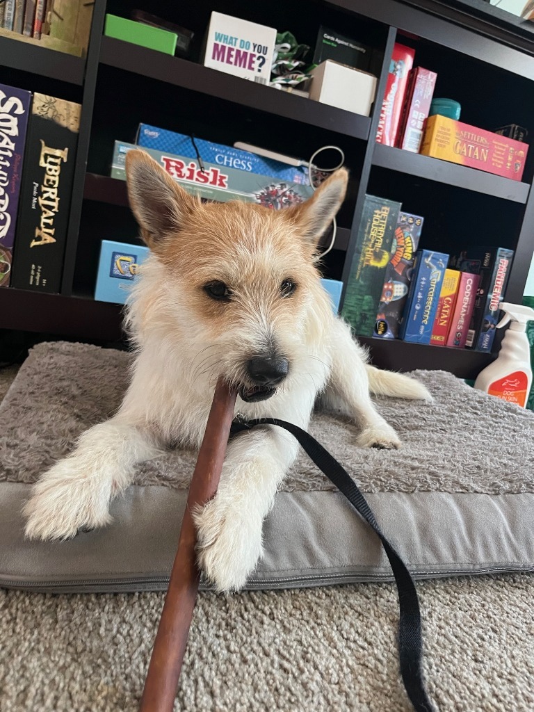 Sampson