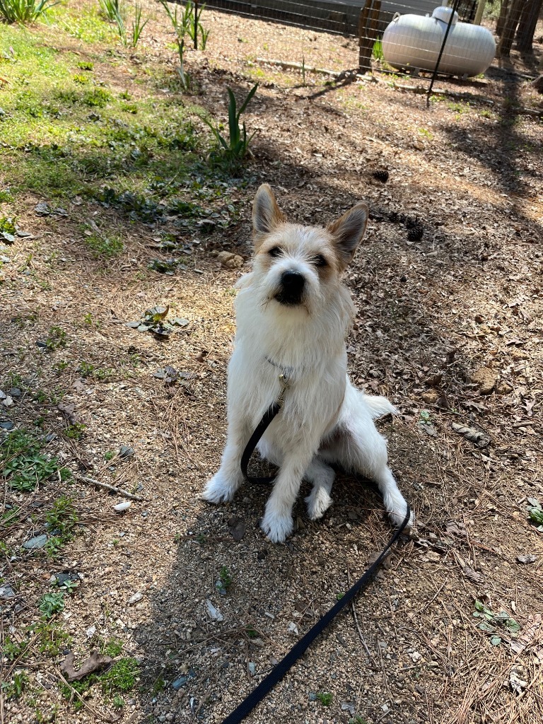 Sampson