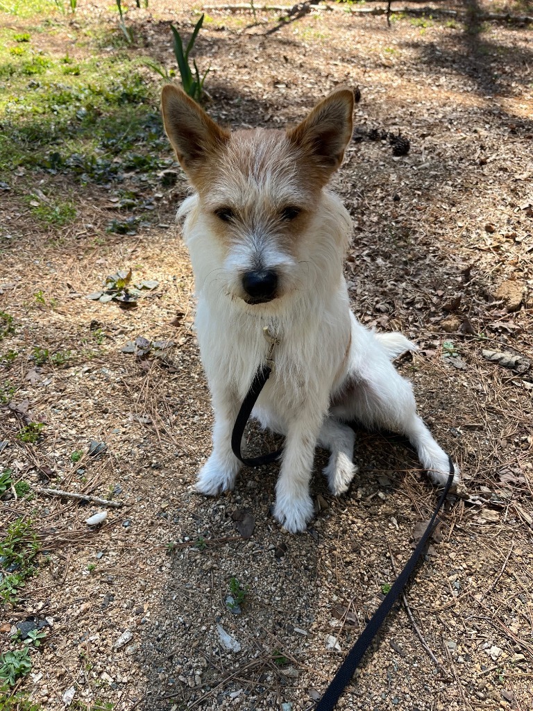 Sampson