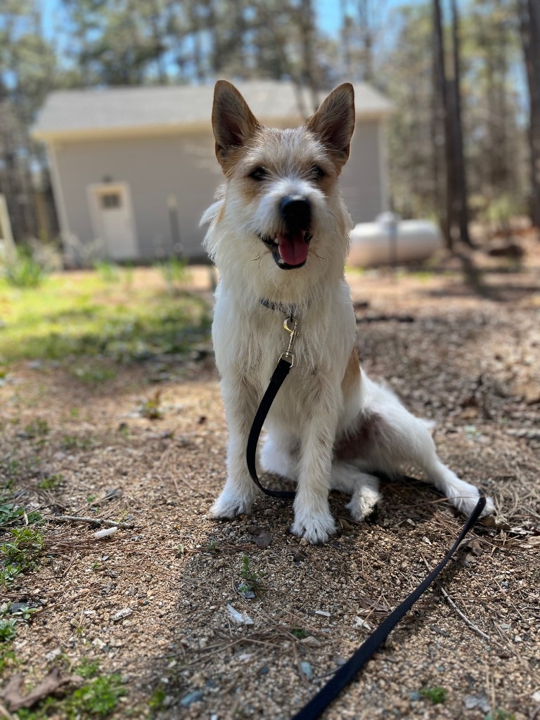 Sampson