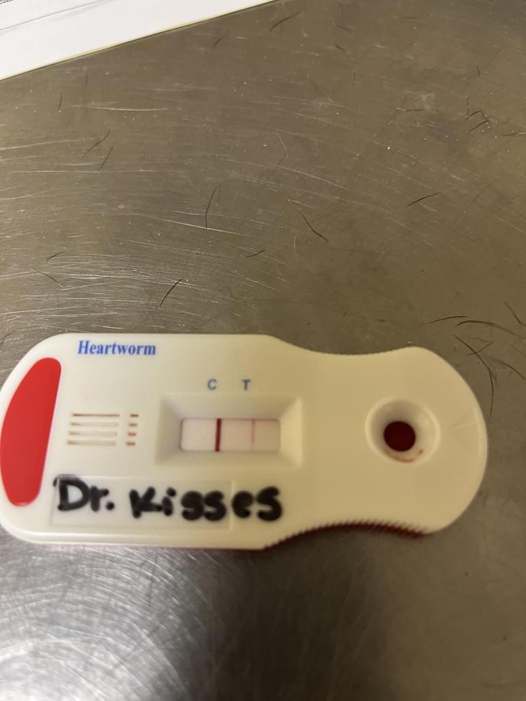 Dr. Kisses
