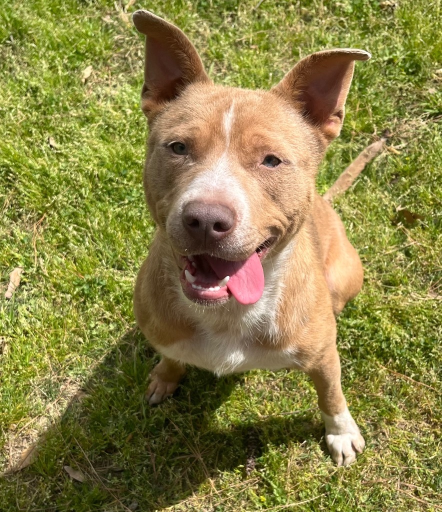 Denzel