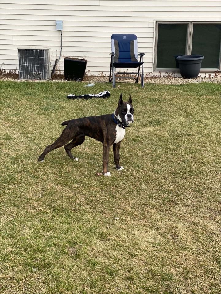 Josie 2