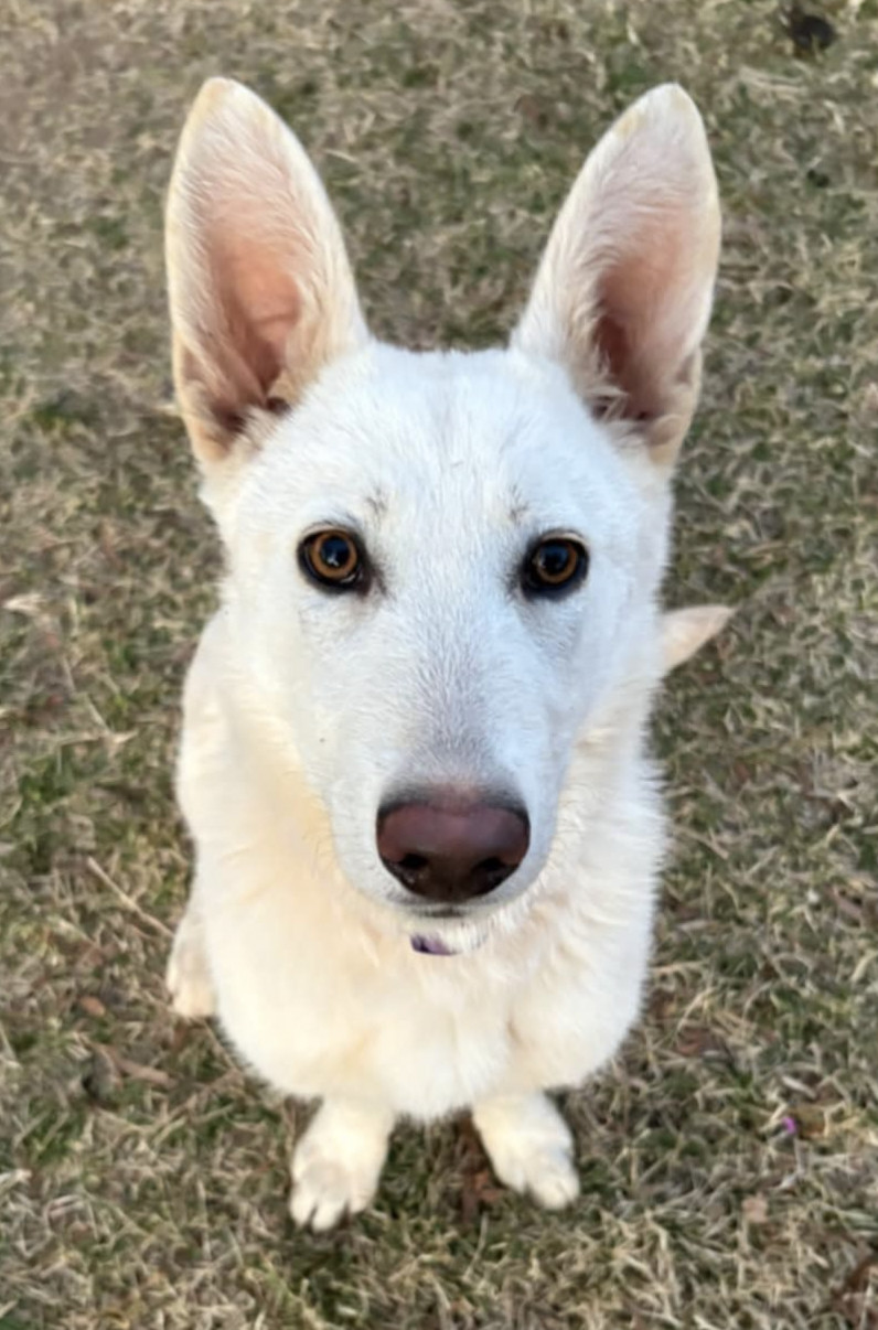 Luna Williams