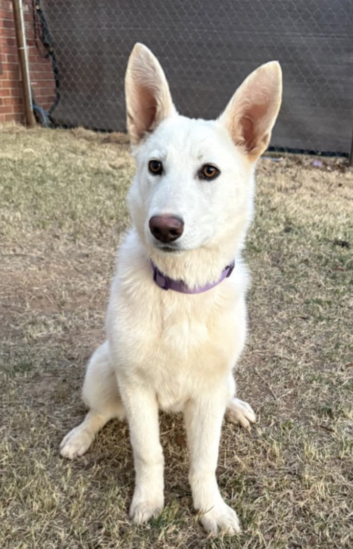 Luna Williams