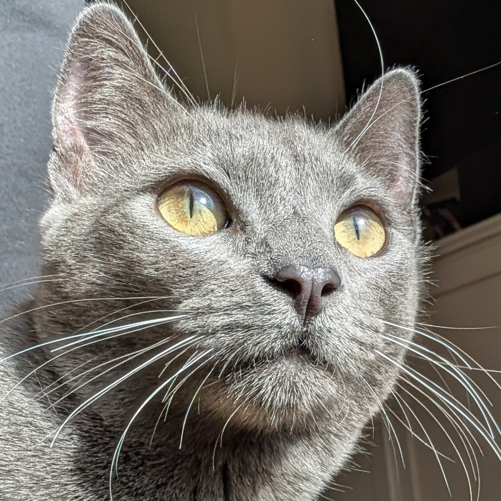 Cinder