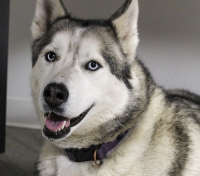 Luna
