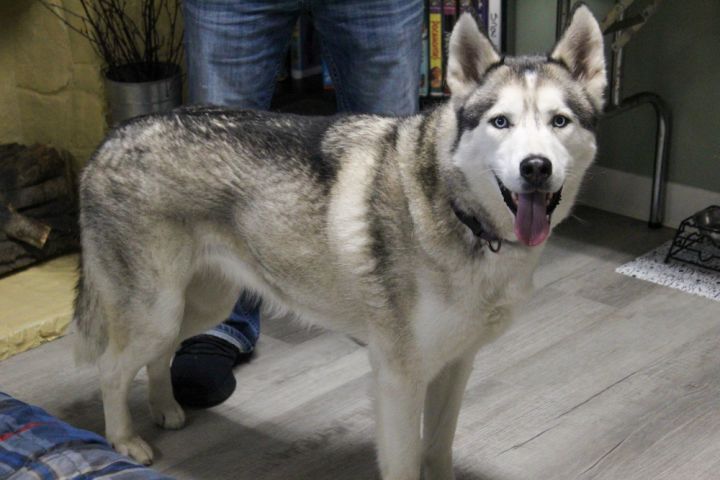 Luna 3