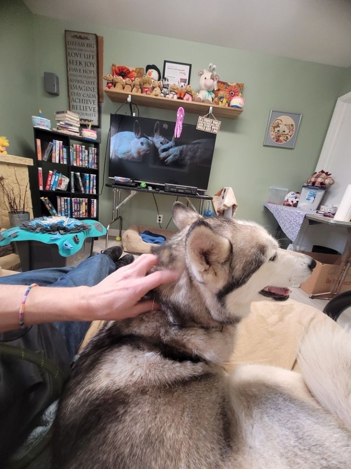 Luna 4
