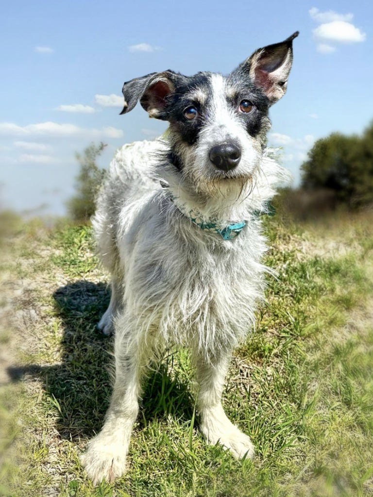 Freya