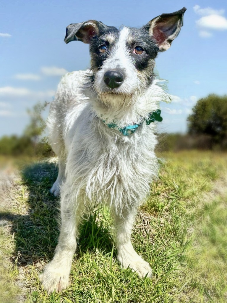 Freya