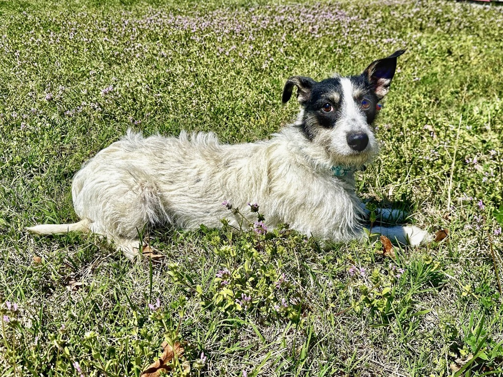 Freya