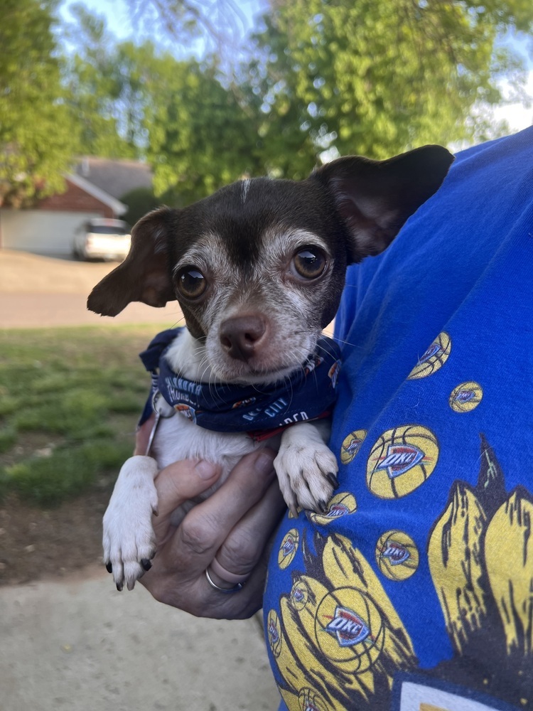 Sylvie aka Trudy