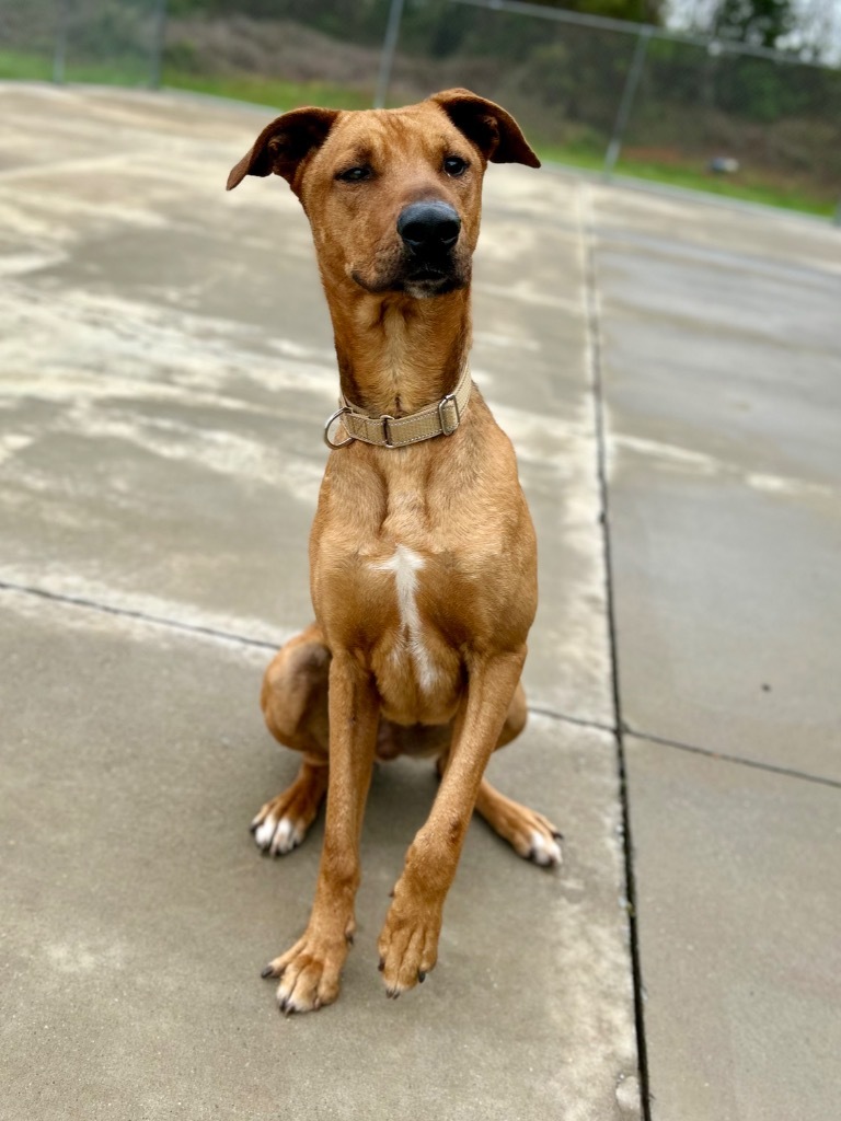 Sam