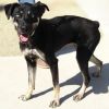 Xena photo 1