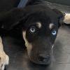 Xena photo 2
