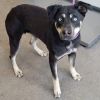 Xena photo 5
