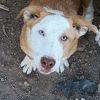 Buddy photo 2
