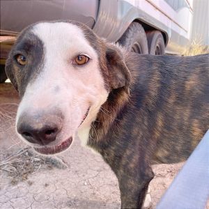 Keanu, Young Male unknown