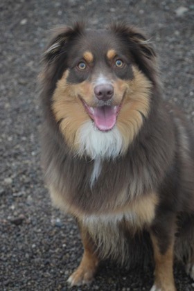 Sadie