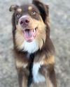 Sadie