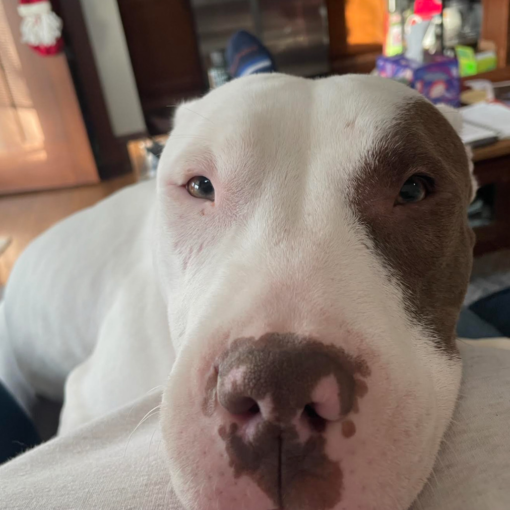 Jack
