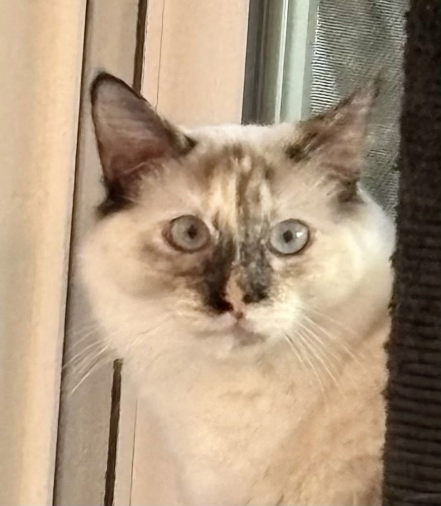 Winnie