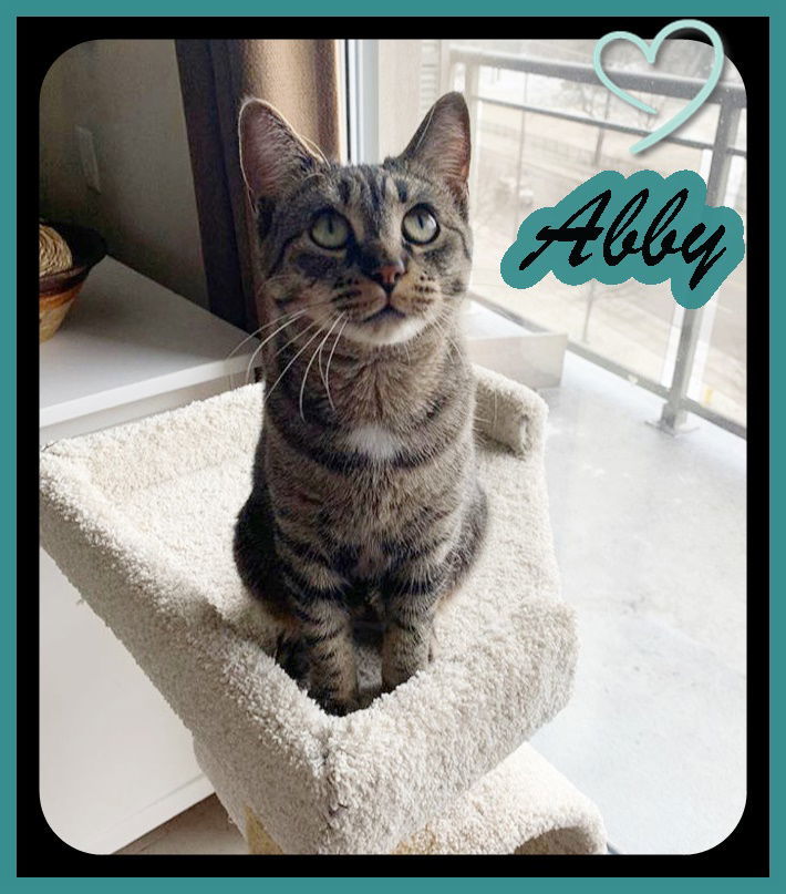 Abby