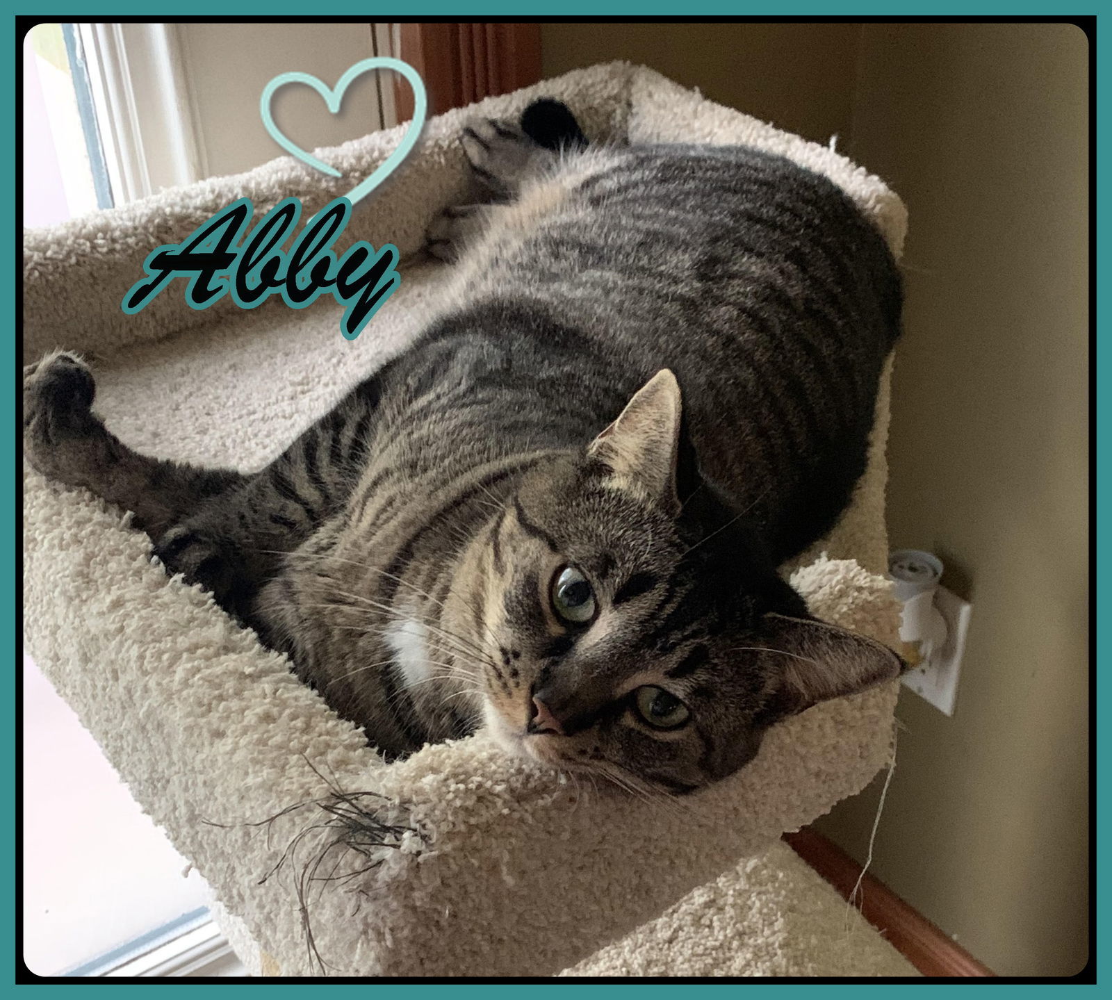 Abby