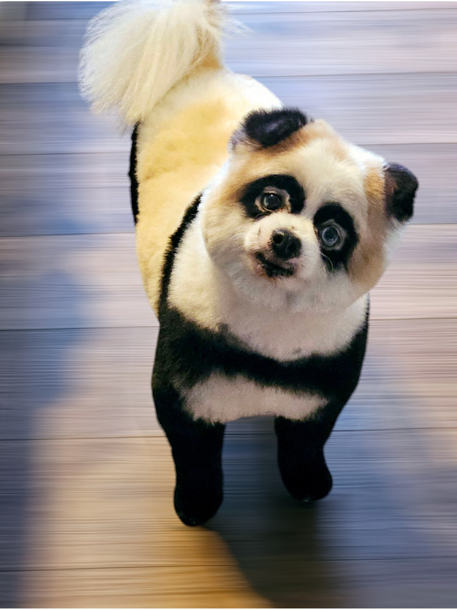 Mr. Marshmallow McFlurry D6023