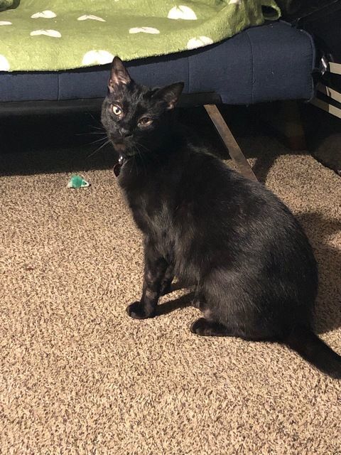 Nelson