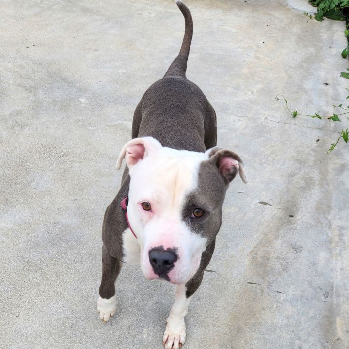 Kiki 2