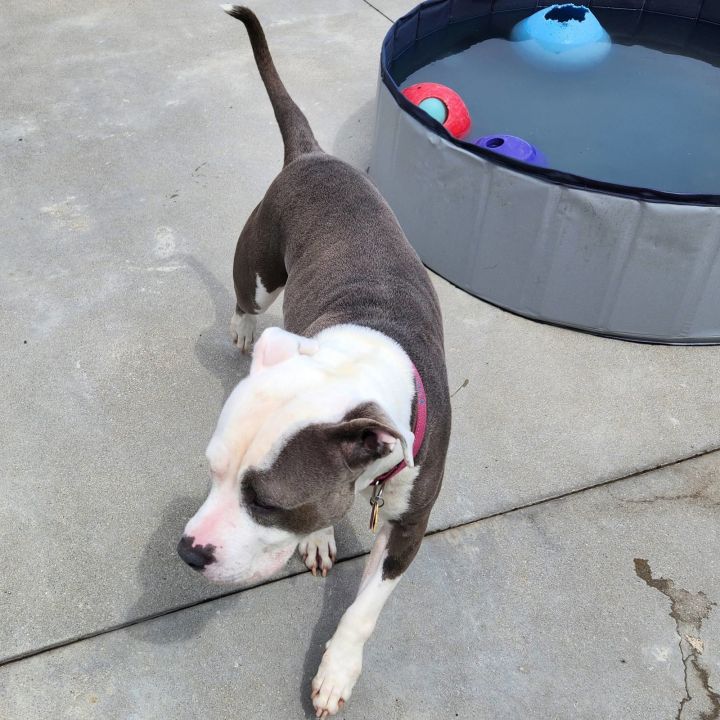 Kiki 3