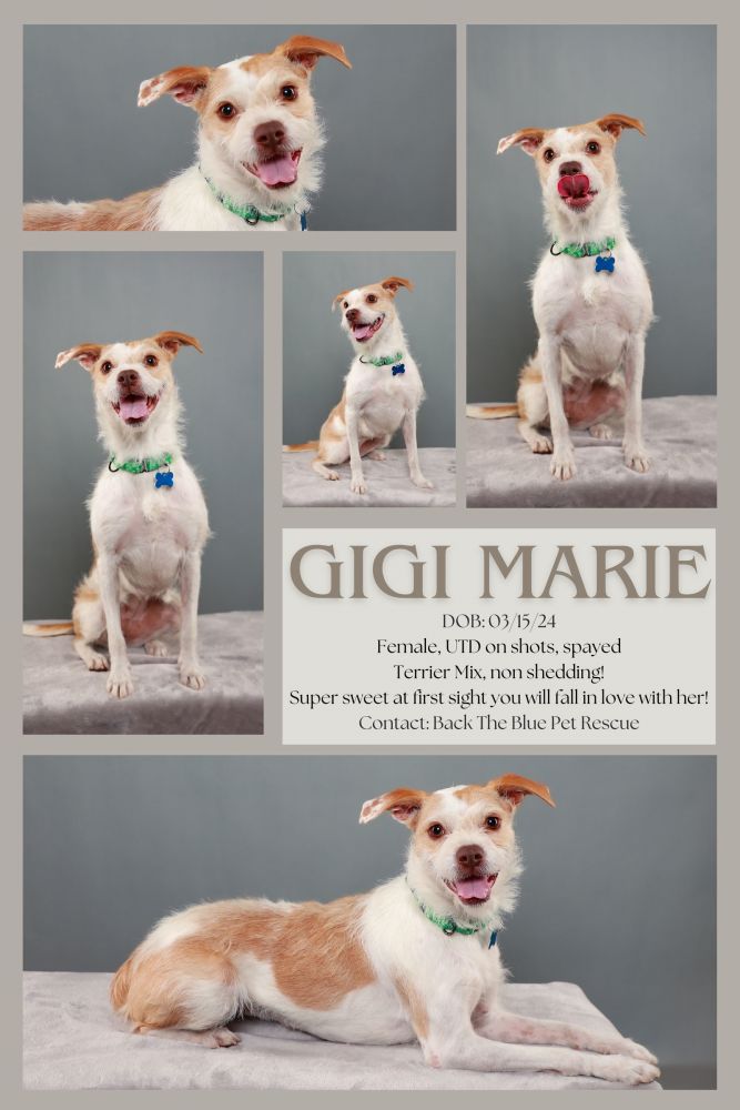 GiGi Marie