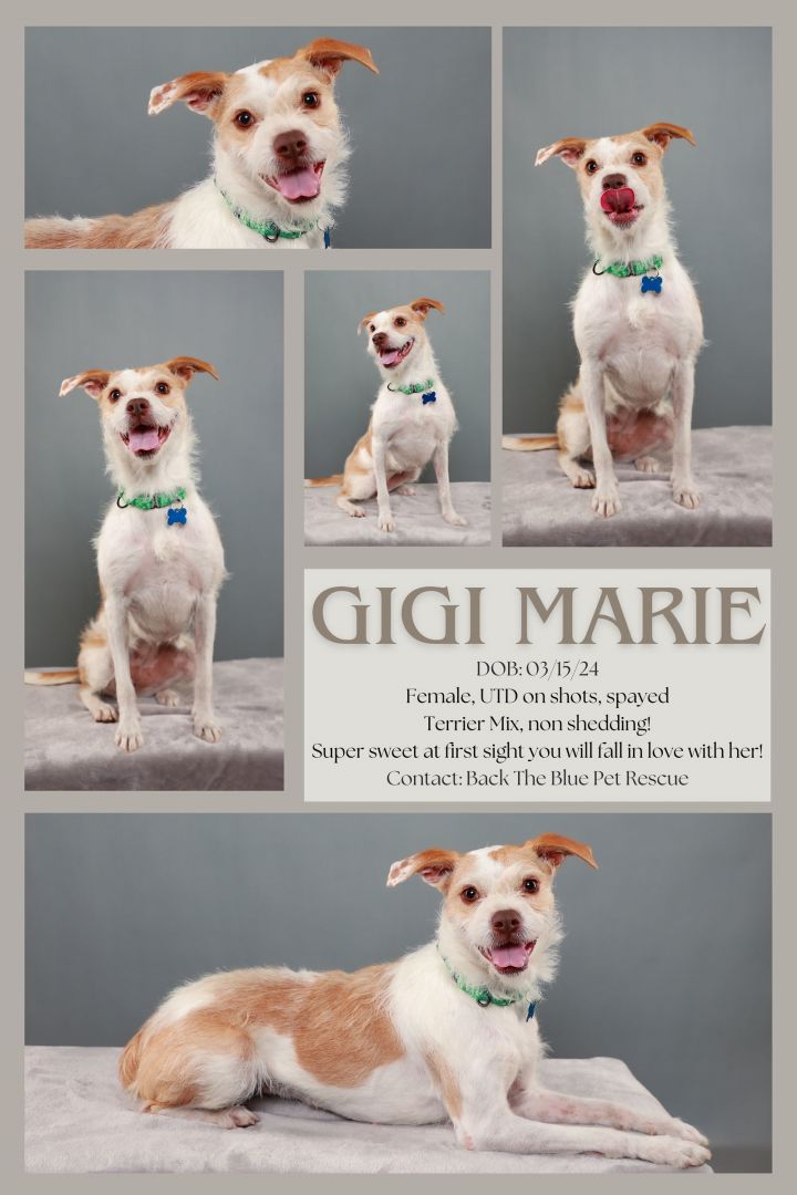 GiGi Marie 1