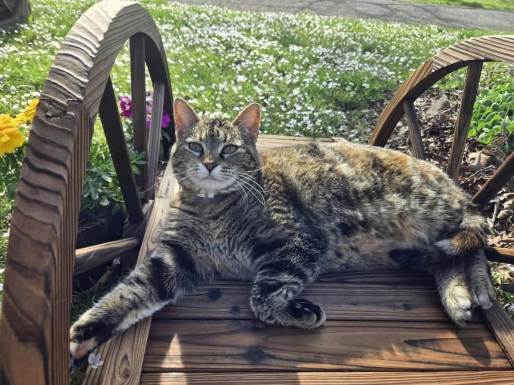 Lily