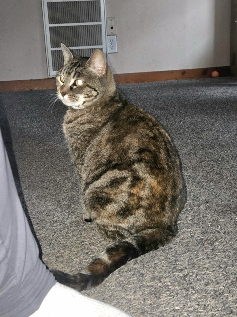Lily