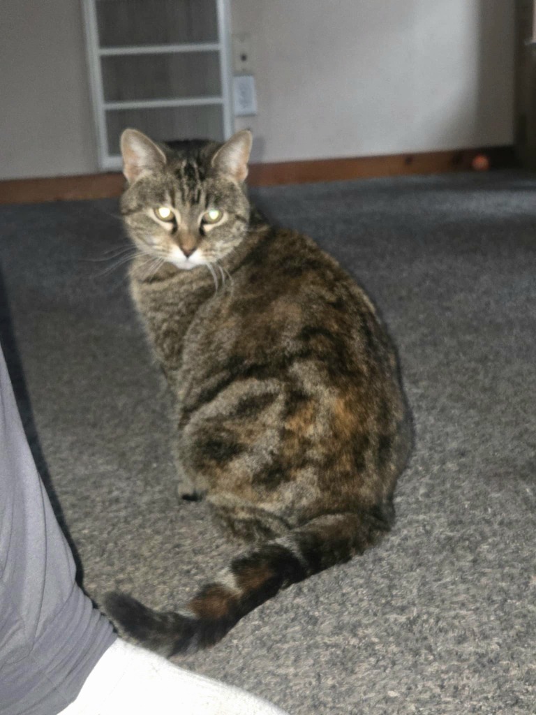 Lily