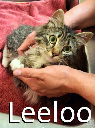 Leeloo