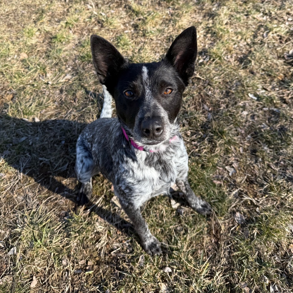 Estelle