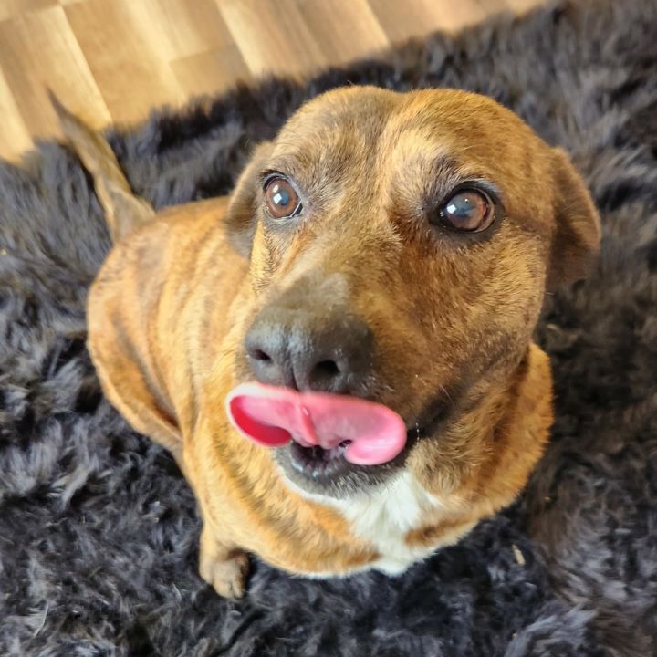 Vanilla aka Penny PS 8