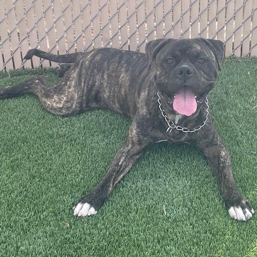 Max