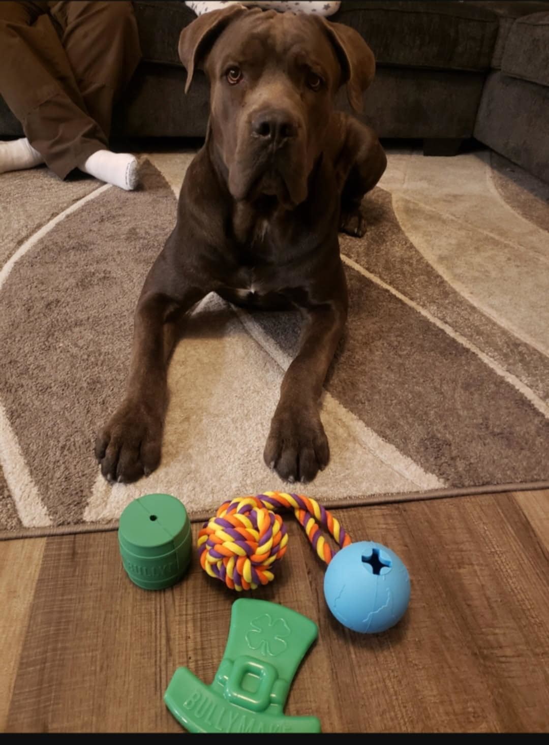 Gunner (Courtesy post)
