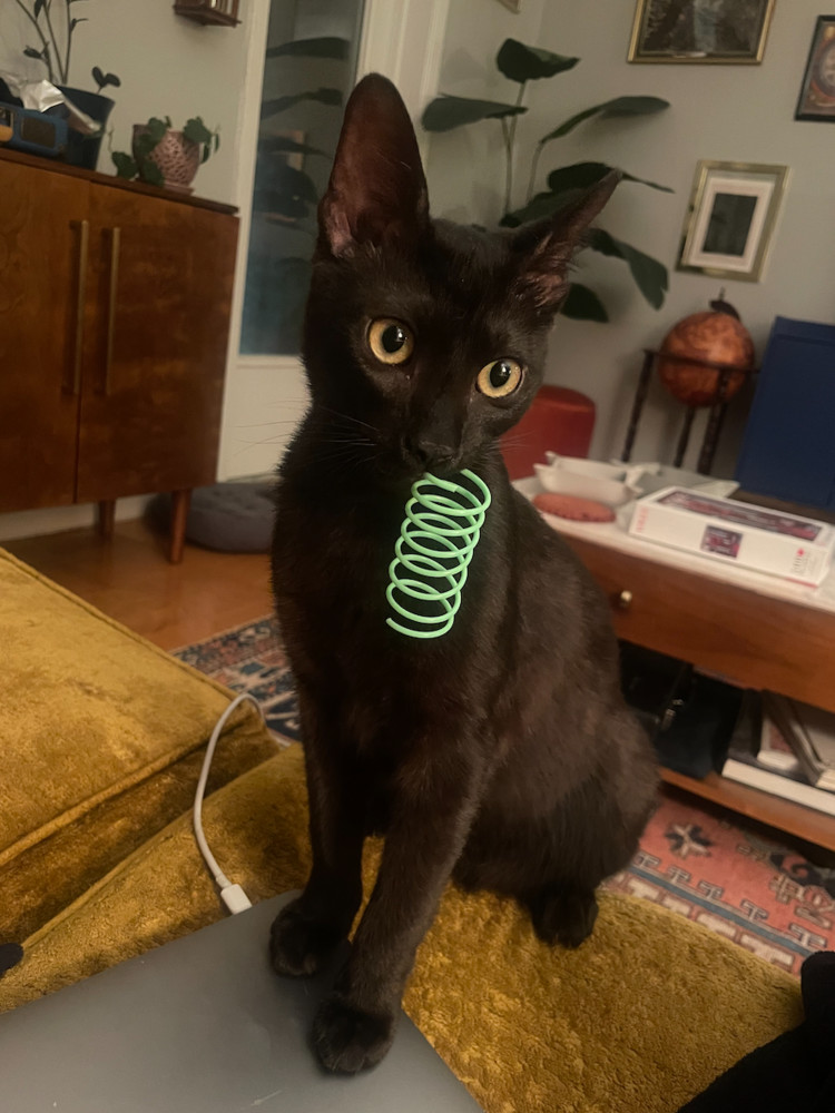Susu