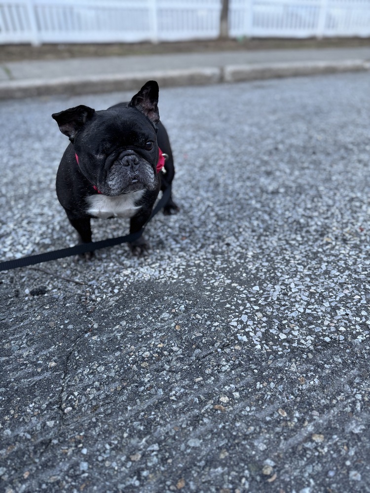 Kali
